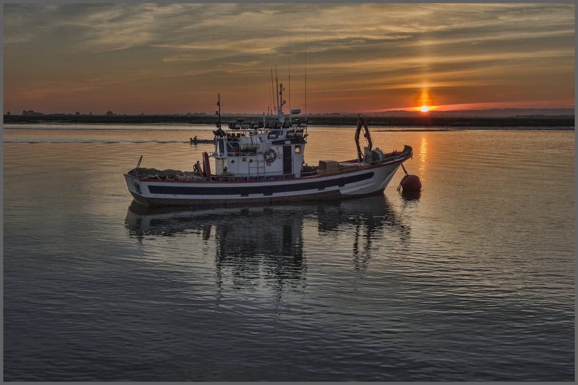 Types of Fishing Trawlers in Global Fisheries | Mavyn